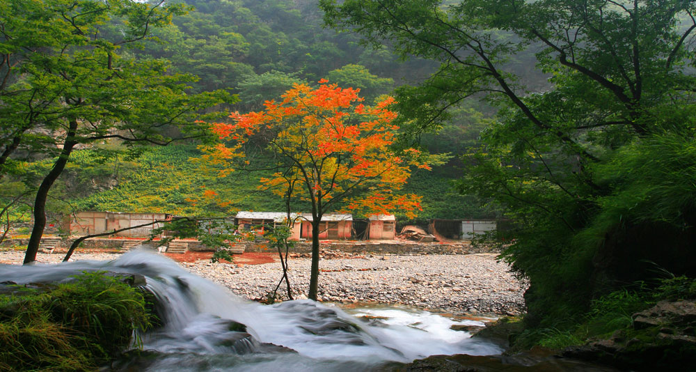 蟒河