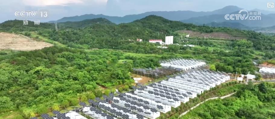战高温 保民生 多措并举守护夏日清凉