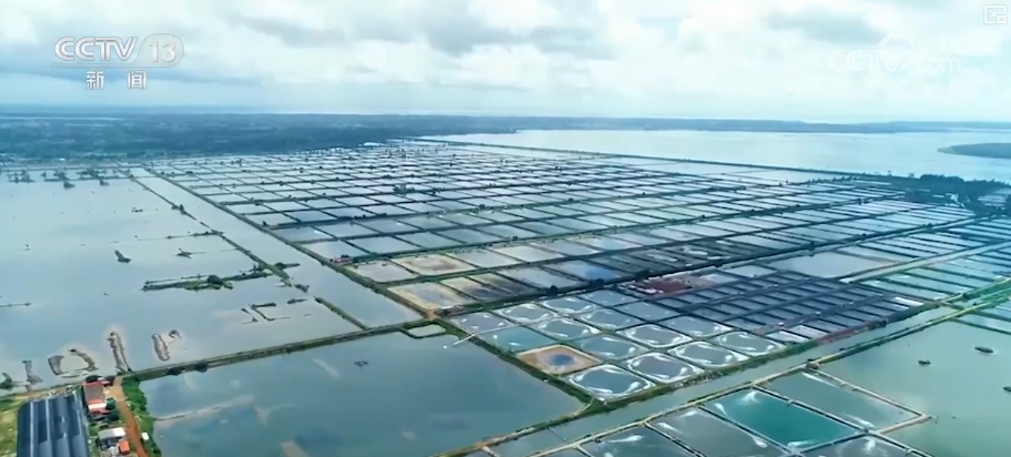 打造从“概念”到“落地”的集中“试验田”场景创新迈向生态化构建拓宽经济增长空间新动力(图20)