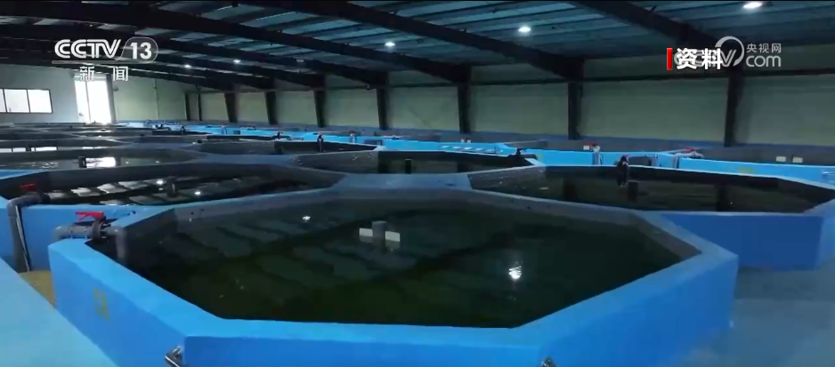 2025“三农”答卷卫星“看”庄稼、大数据“算”收成农业发展向“新”而行(图6)