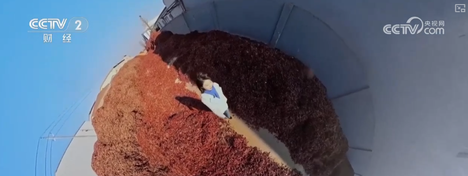 必一运动网站：以开放为翼、智造为基产业升级强筋骨将发展“势能