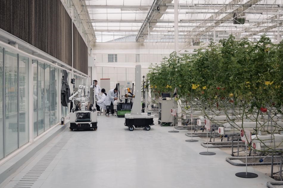 新春走基层|新农人守岁新农机巡田采摘!未来农业的春天来了(图1)