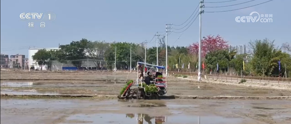 新质生产力绘就生动“科技春耕图”智慧农业筑牢夏粮丰收基础(图3)