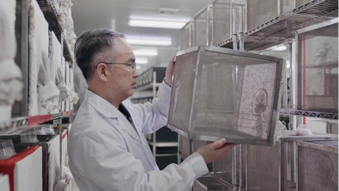 广州“蚊子工厂”