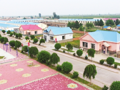 中国辣椒第一乡:洮南福顺镇