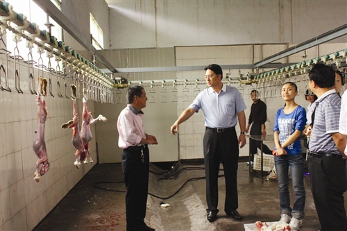 重庆银行:小微金融的探索者和坚守者