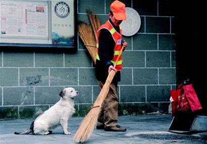 小狗陪清洁工主人上下班1年 见人乱扔垃圾汪汪叫