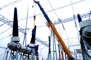 多元引领 产业共赢