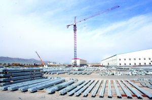 多元引领 产业共赢