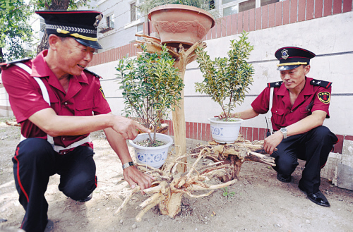 保安郭昌海(右)和刘立冬在侍弄根雕作品