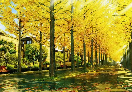 广告:万物新生耀东湖