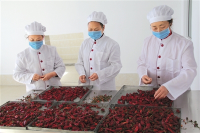 辣妹子张卉:辣椒伴她走天下