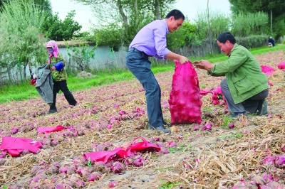 牢记为人民服务宗旨 争当人民满意公务员