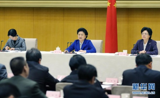 刘延东出席全国计划生育工作电视电话会议并讲