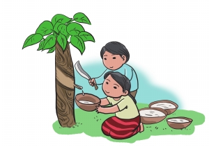 今年,无论如何要完成在80亩橡胶林下种植大叶千斤拔的目标.