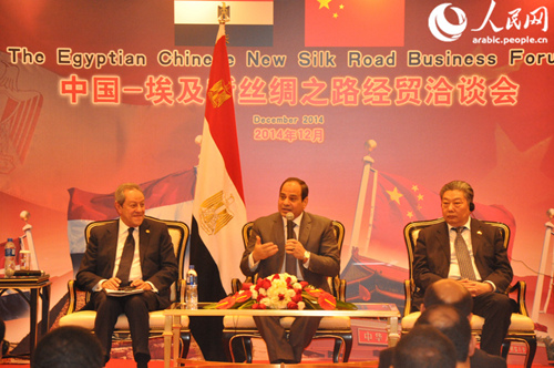 埃及总统塞西:大力支持符合三个基本条件的中