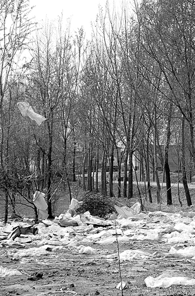 农村垃圾待科学处理_党建_共产党员网