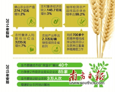 佛山去年农村集体 人均分红3235元