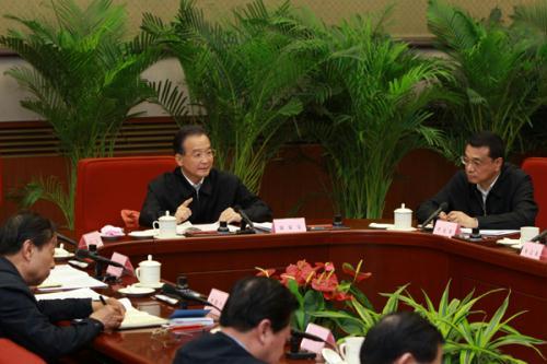 Premier Wen Jiabao is calling for more efforts to develop renewable energy to cope with rising domestic fuel demand and severe energy shortages.
