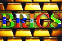 A brief review of the BRICS organization