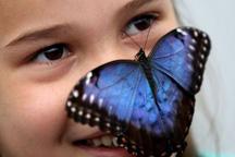 Macau first Butterfly Pavilion enchant nature lovers