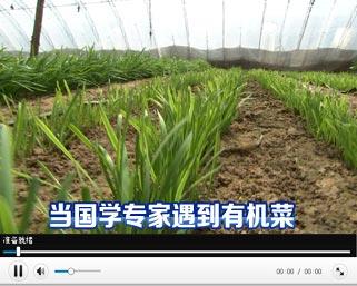 [科技苑]当国学遇到有机菜(20130422)_cctv节目官网-cctv-7_央视网