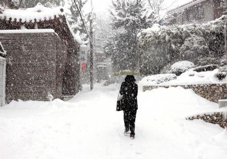 A pedestrian walks in heavy snow at a street in Seoul, capital of South Korea, Jan. 4, 2010. Seoul and surrounding regions witnessed the biggest snowfall in the recent 9 years on Monday.(Xinhua/He Lulu)