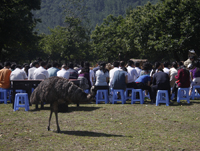 ����ţ�զ��ô���ˡ�<br>2009��5��20��