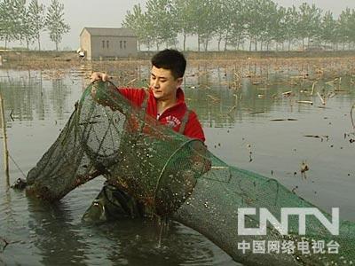 致富虾真的_致富经虾