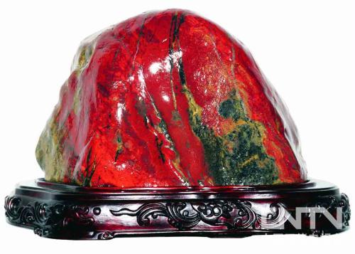 国]节目预告(2011年4月5日-2011年4月11日播