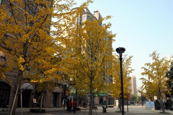 [组图]上海市长宁区黄金城道步行商业街