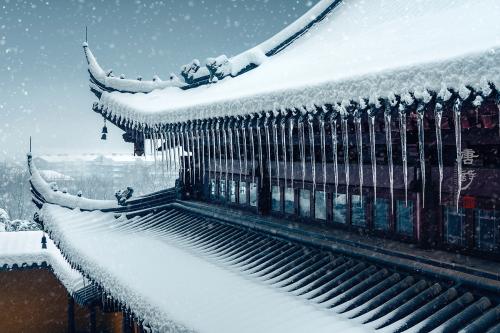 《雪之琴》，2018年1月-江苏镇江金山寺。苏唐诗 摄
