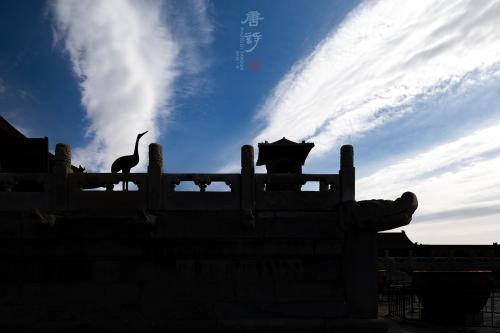 《天望》。2018年3月，拍摄于故宫乾清宫。苏唐诗 摄