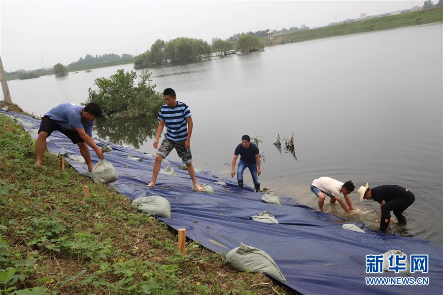 (Xinhua all-media headlines and graphic interaction) (8) Youth is out of the queue — — The ceremony of blood coming of age in the flood peak of rainstorm