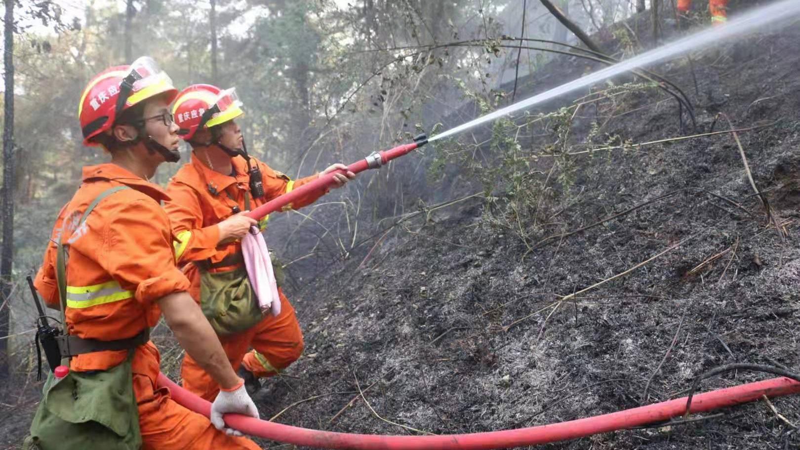 重庆市航空救援总队扑灭一起森林火灾