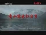 青山绿水红日子 17集