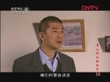 青山绿水红日子 19集