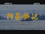 阿丕书记 14集