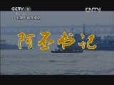 阿丕书记 15集