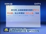 全国夏粮再获丰收 增产356万吨