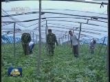 吉林：促进军民融合 创军民共建新路