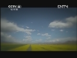 青海花儿 1集