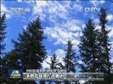【喜迎十八大 走基层·行进中国】黑河分水十年：生态补水 从源头开始