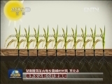 【走基层·我这十年】王化永：我种一块样板田