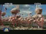 假日最后一天 荧屏精彩继续