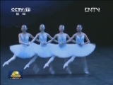 中央芭蕾舞团《天鹅湖》亮相日内瓦