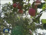 新闻联播完整版视频 20121030