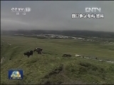 俄罗斯称拥有南千岛群岛不容质疑