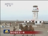张灯结彩又一年
