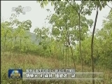 海南：端好生态“金饭碗”